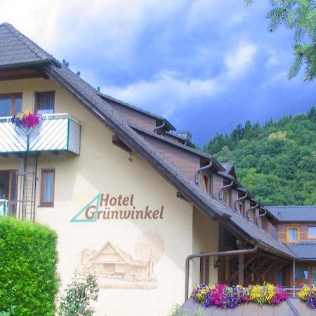 Hotel Gruenwinkel Oberharmersbach Exteriér fotografie